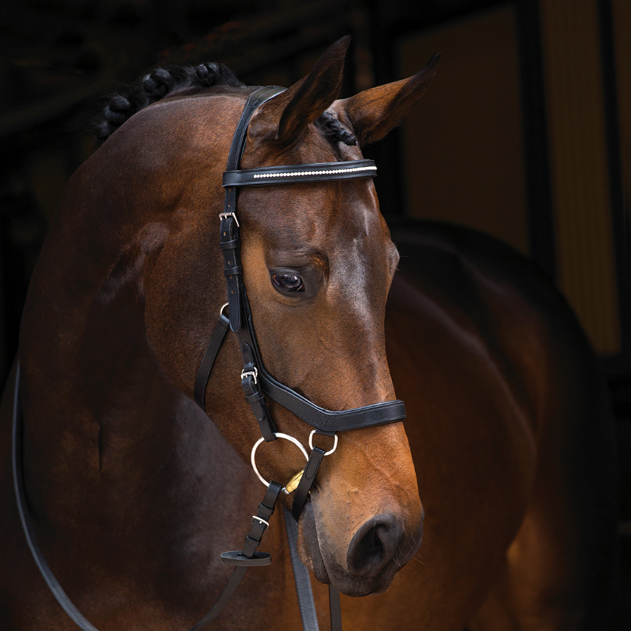 Micklem deluxe competition bridle